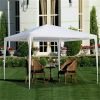 Patio Tent 10'x10' Party Tent Outdoor Gazebo Canopy Camping Shelter